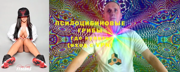 индика Покров