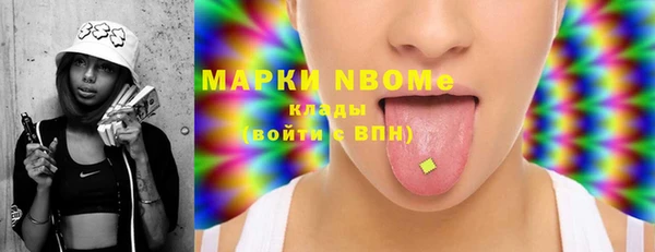 прущие грибы Пересвет