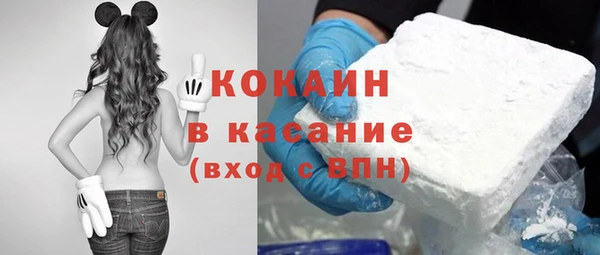 индика Покров