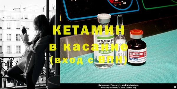 прущие грибы Пересвет